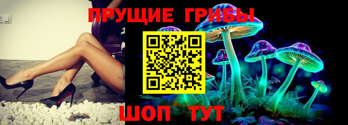 Псилоцибиновые грибы Cubensis Усинск